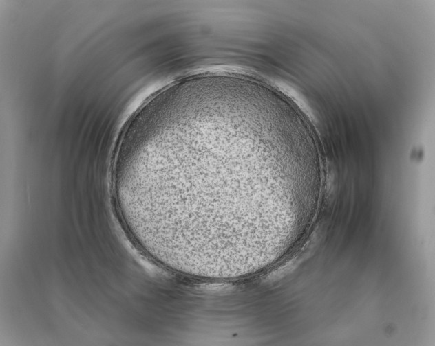 X0000090601282200708141323