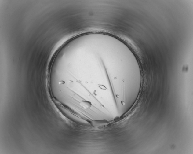 X0000090601286200708141323