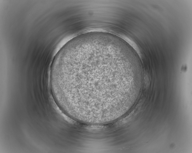 X0000090601290200708141323