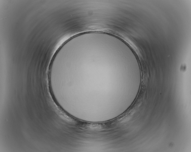 X0000090601291200708141323