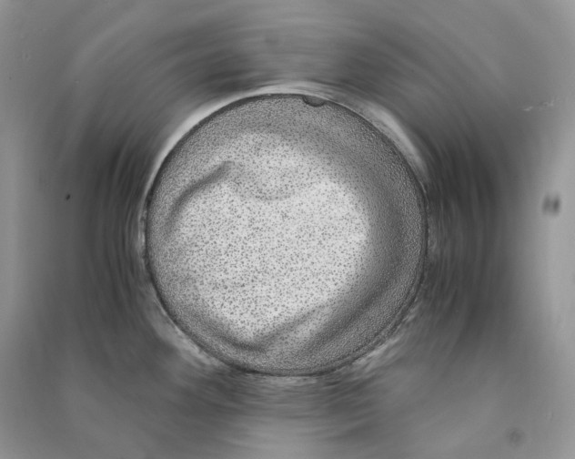 X0000090601292200708141323