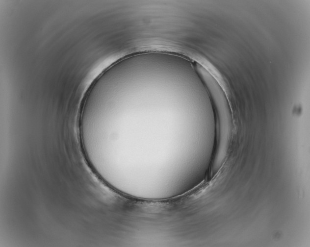 X0000090601293200708141323