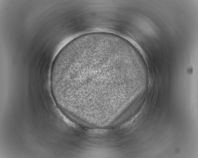 X0000090601294200708141323