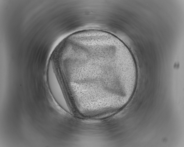 X0000090601296200708141323