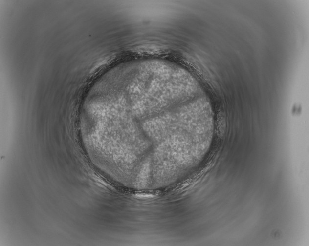 X0000090601297200708141322