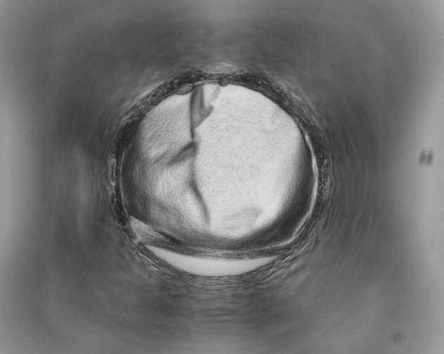 X0000090601301200708141322