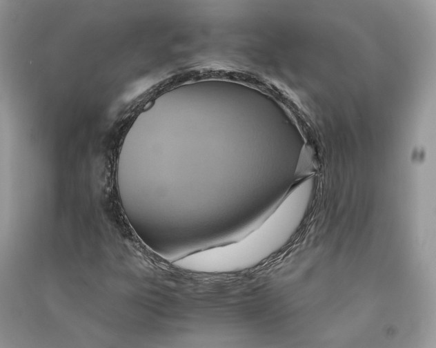 X0000090601303200708141322