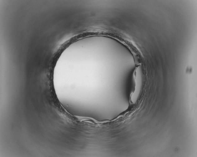 X0000090601304200708141322