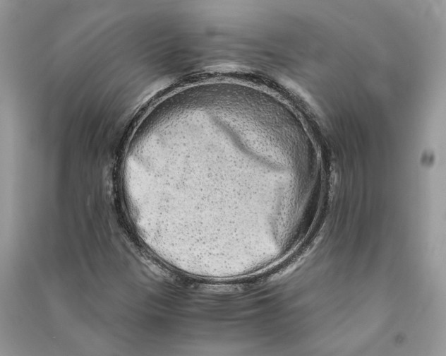 X0000090601305200708141322