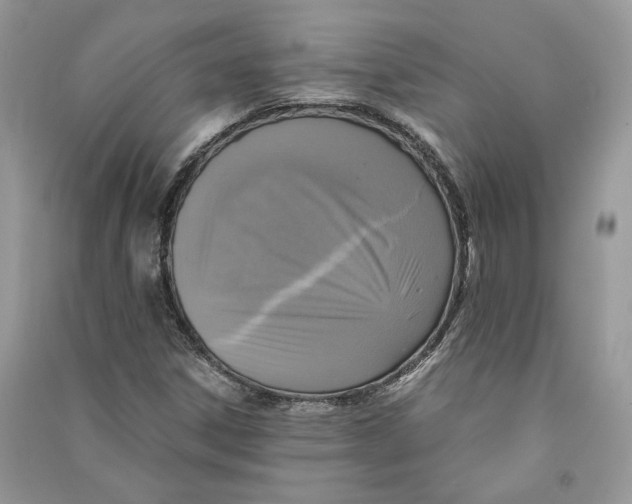 X0000090601306200708141322