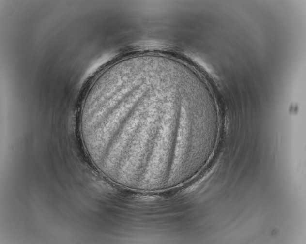 X0000090601309200708141322