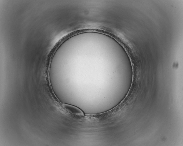 X0000090601312200708141322