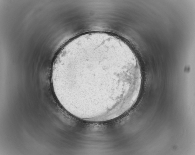 X0000090601314200708141322