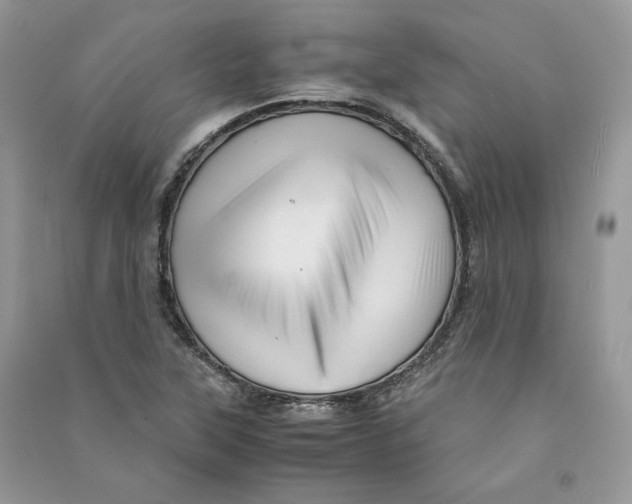 X0000090601315200708141322