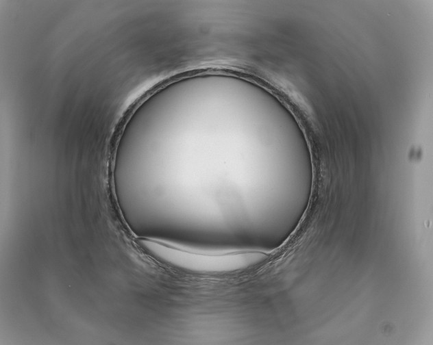 X0000090601316200708141323