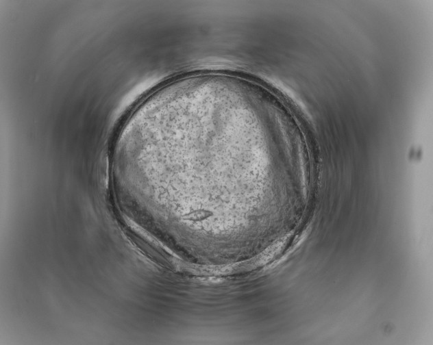 X0000090601317200708141323