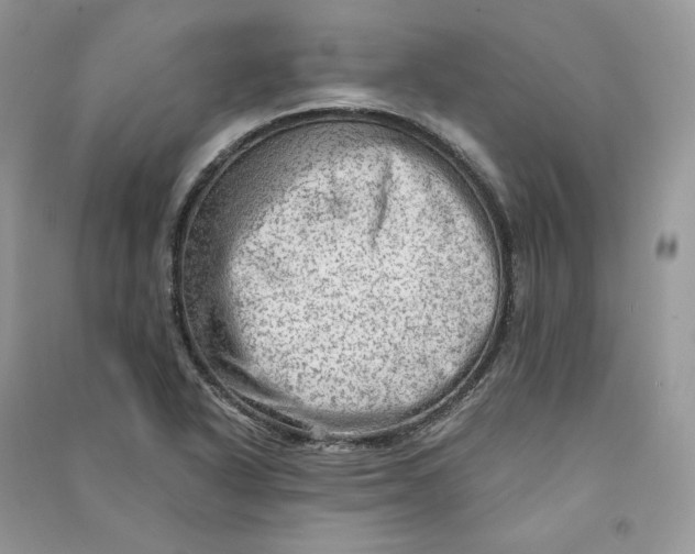 X0000090601318200708141323