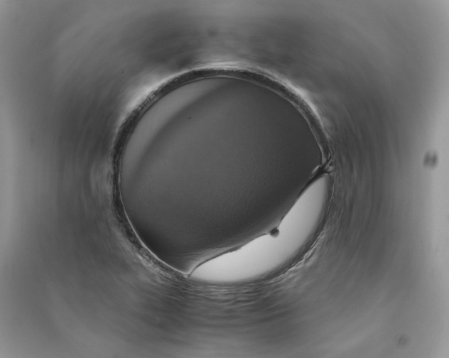 X0000090601319200708141323