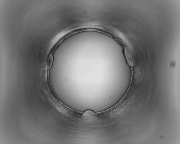 X0000090601320200708141323