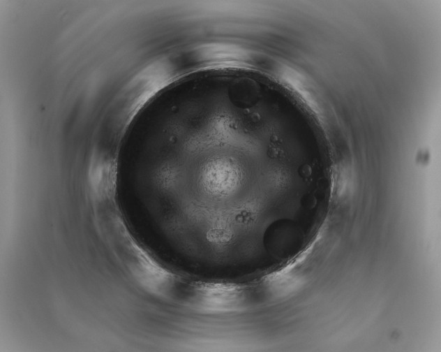 X0000090601321200708141323