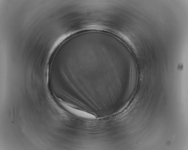 X0000090601323200708141323