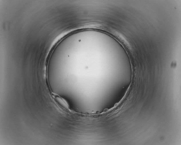 X0000090601324200708141323