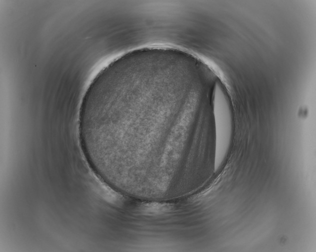 X0000090601327200708141323