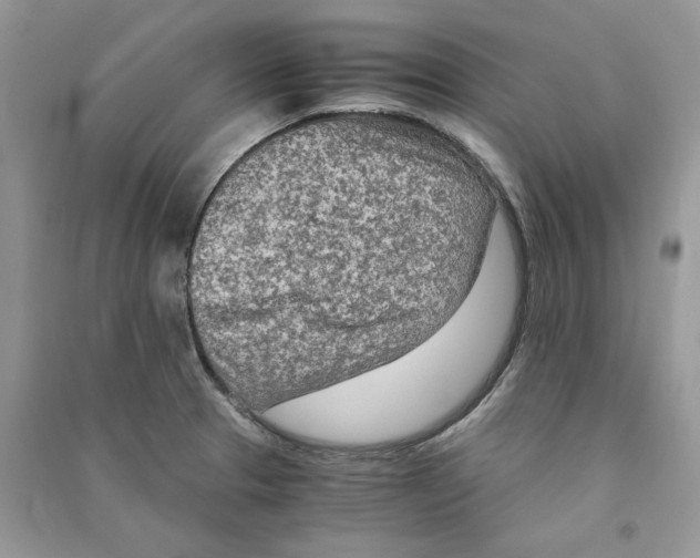 X0000090601329200708141323