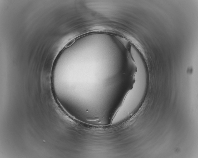 X0000090601330200708141323