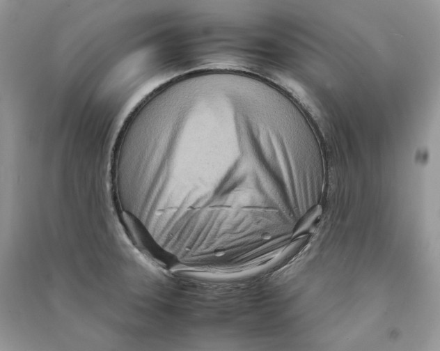 X0000090601331200708141323