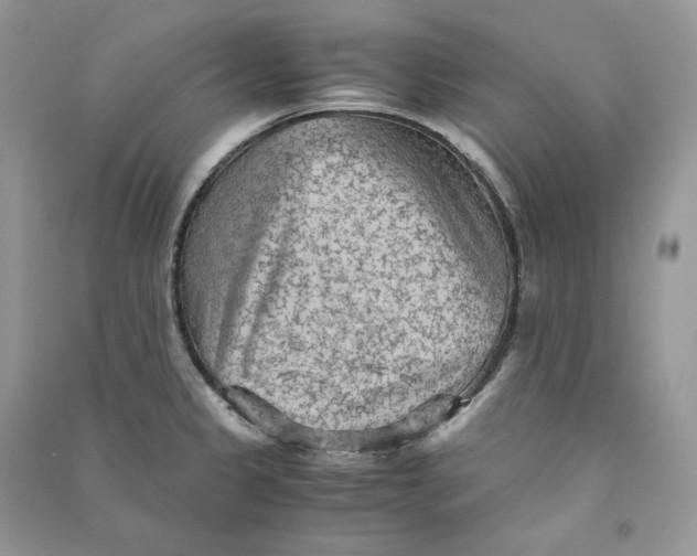 X0000090601333200708141323