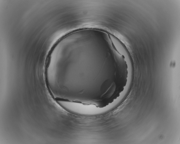 X0000090601334200708141323