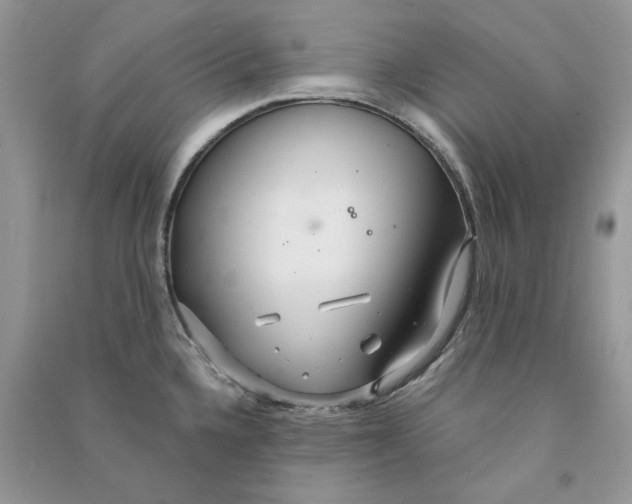 X0000090601336200708141323