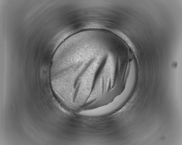 X0000090601337200708141323