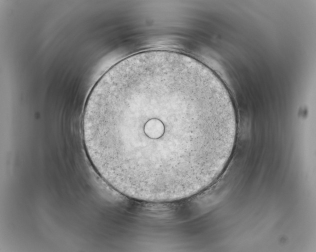 X0000090601338200708141323