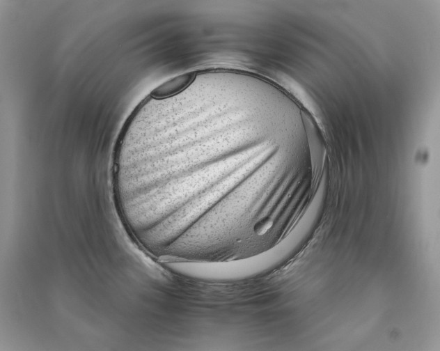 X0000090601339200708141323