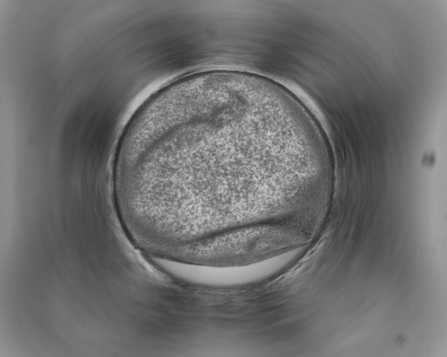 X0000090601341200708141323