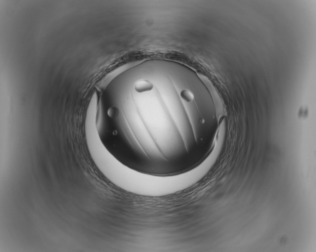 X0000090601348200708141322