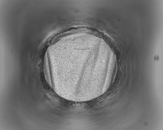 X0000090601351200708141322