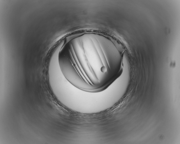 X0000090601352200708141322