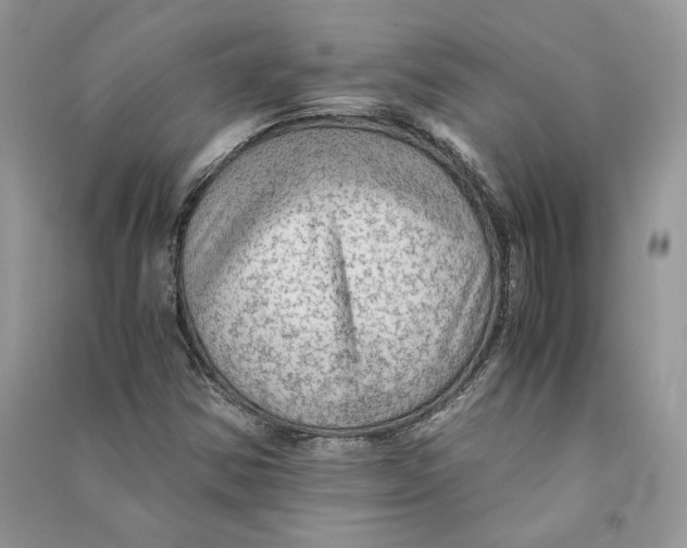 X0000090601354200708141322