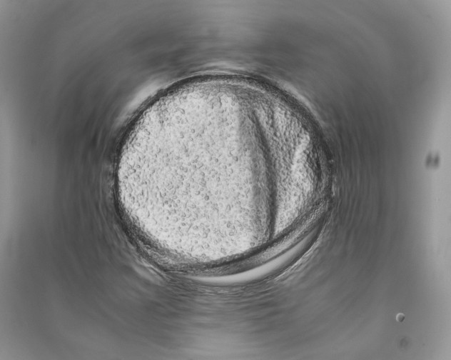 X0000090601355200708141322