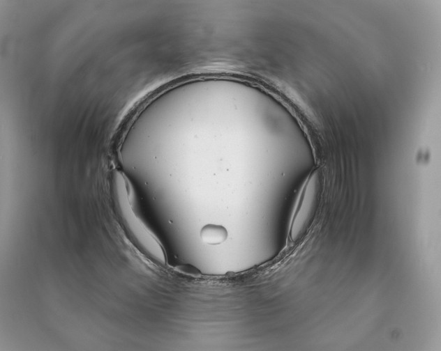 X0000090601356200708141322