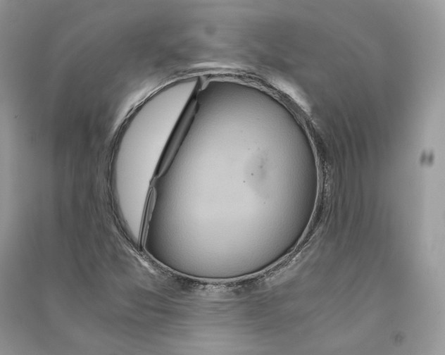 X0000090601357200708141322