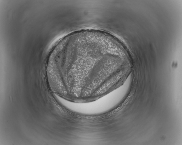 X0000090601359200708141322