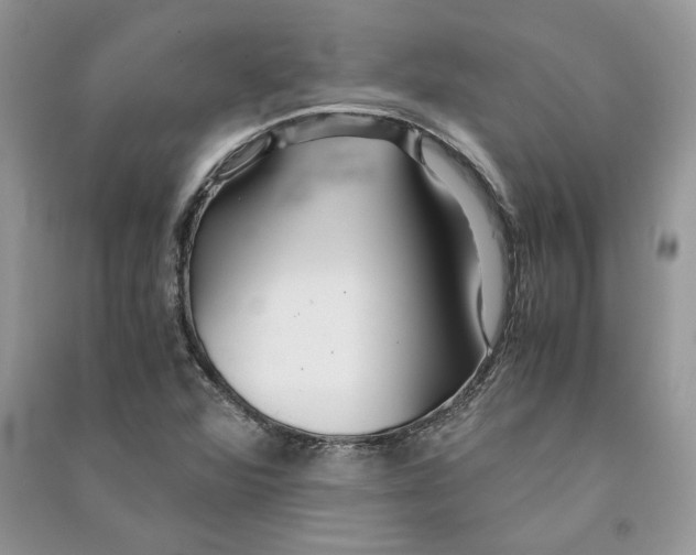 X0000090601360200708141322