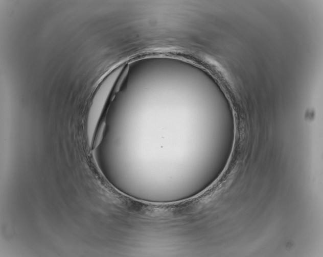 X0000090601361200708141322