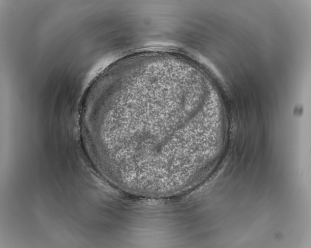 X0000090601362200708141322