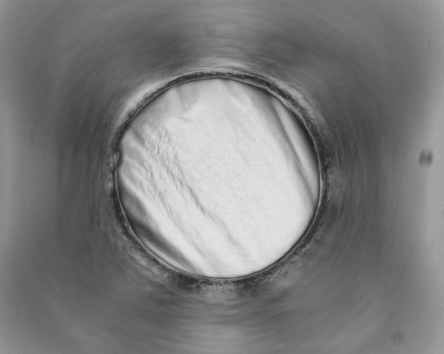 X0000090601363200708141322