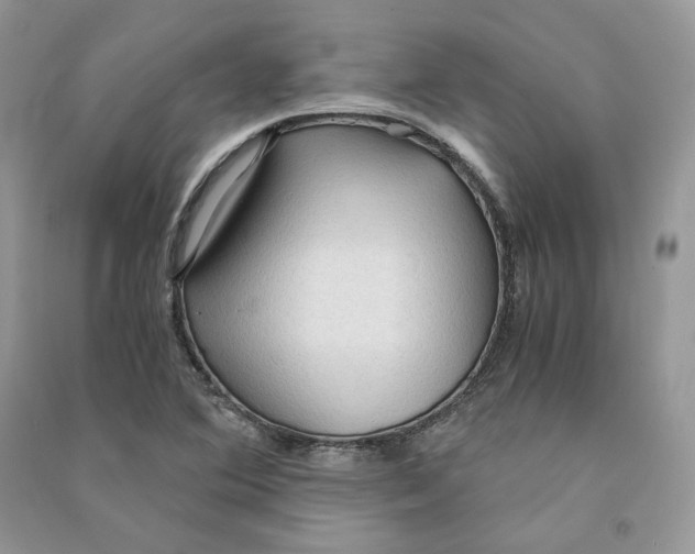 X0000090601364200708141322